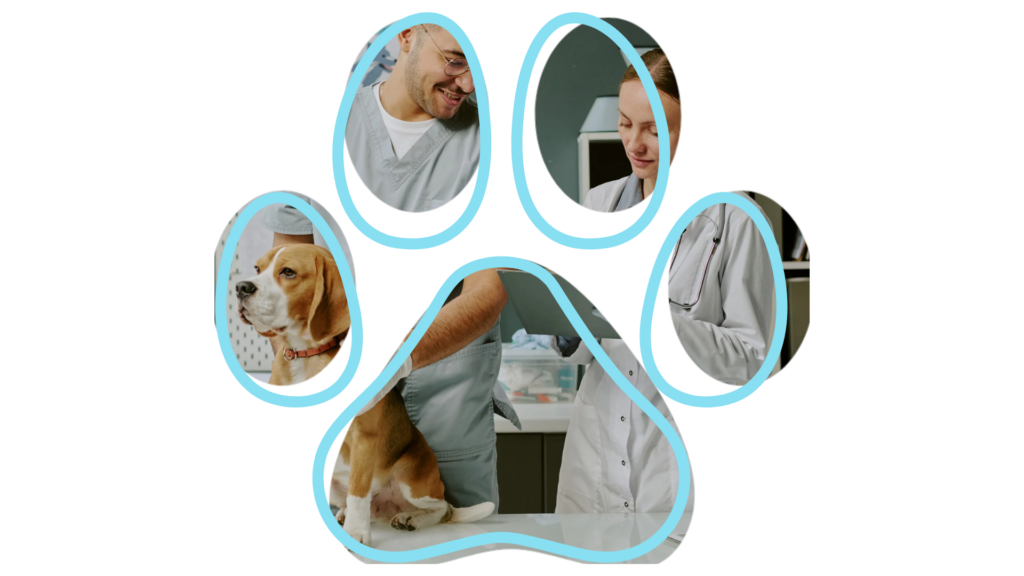 Collage of vets examining a beagle, framed within a paw shape.