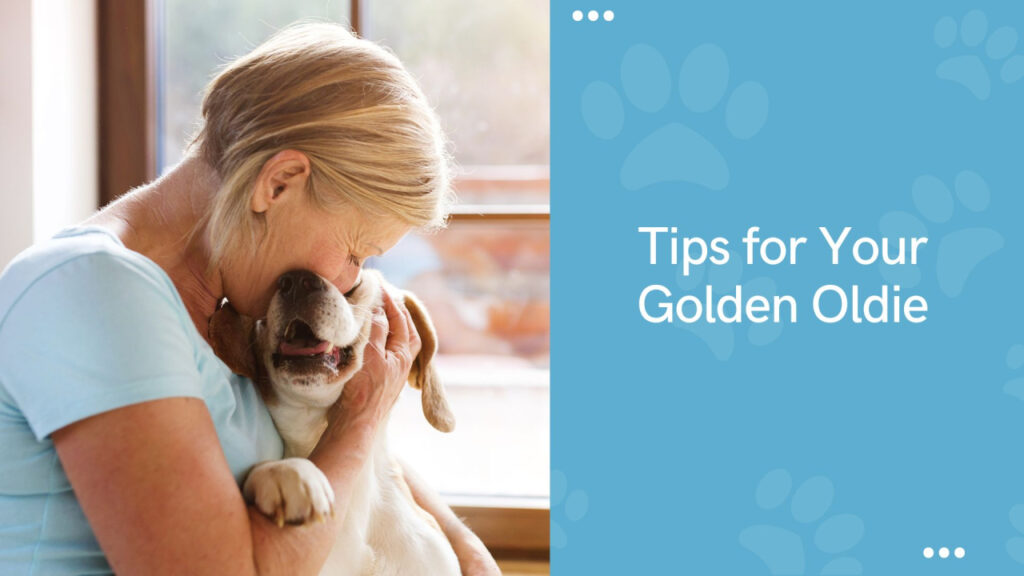 An older woman hugs a smiling dog closely, expressing affection and companionship.