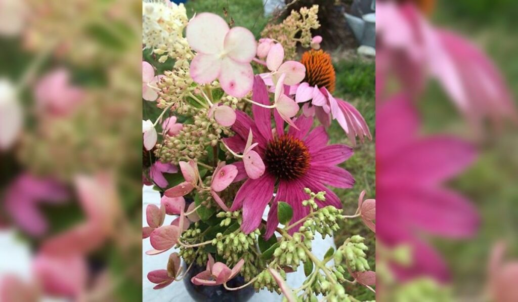 A vibrant floral arrangement featuring pink coneflowers and pale hydrangea blossoms.