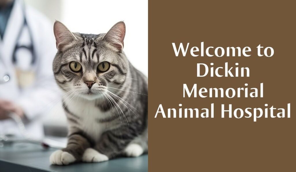 A tabby cat sits attentively on a table beside the text "Welcome to Dickin Memorial Animal Hospital."