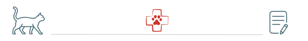 healthy dog supported by pet insurance at Dickin Memorial Animal Hospital Endicott NY